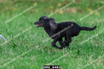 IMG_6483.jpg