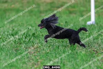 IMG_6496.jpg