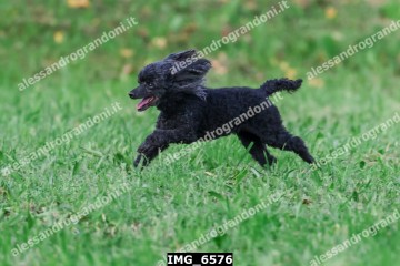 IMG_6576.jpg