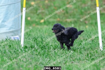 IMG_6581.jpg