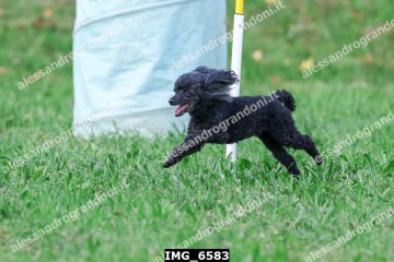 IMG_6583.jpg