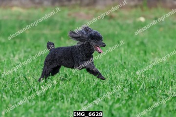 IMG_6628.jpg
