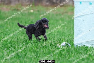 IMG_6634.jpg