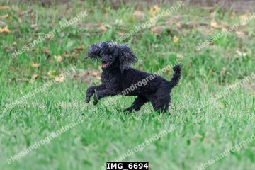 IMG_6694.jpg