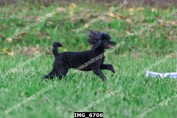 IMG_6706.jpg