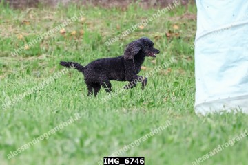 IMG_6746.jpg