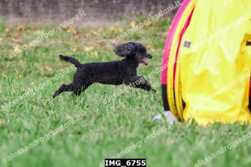 IMG_6755.jpg