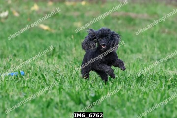 IMG_6762.jpg