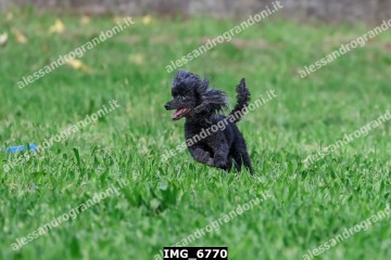 IMG_6770.jpg