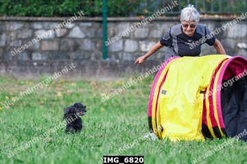 IMG_6820.jpg