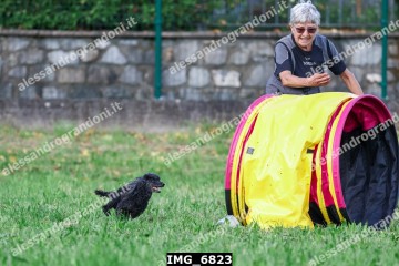 IMG_6823.jpg