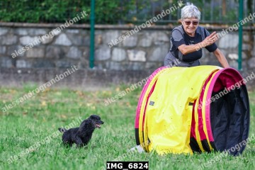 IMG_6824.jpg