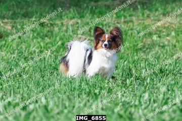 IMG_6855.jpg