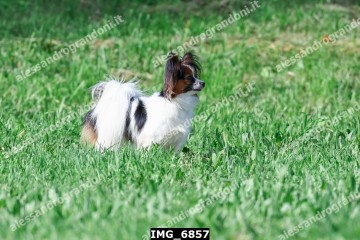 IMG_6857.jpg