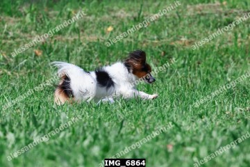 IMG_6864.jpg