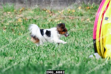 IMG_6882.jpg