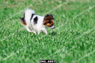 IMG_6897.jpg