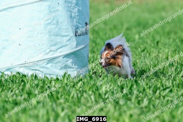 IMG_6916.jpg