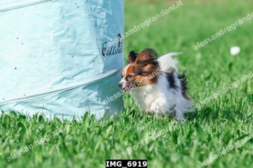 IMG_6919.jpg