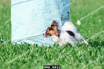 IMG_6922.jpg