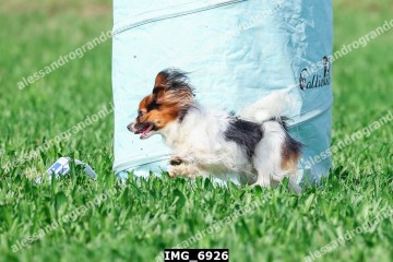 IMG_6926.jpg