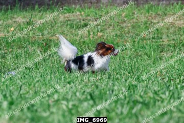 IMG_6969.jpg