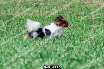 IMG_6970.jpg