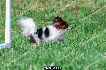 IMG_6982.jpg