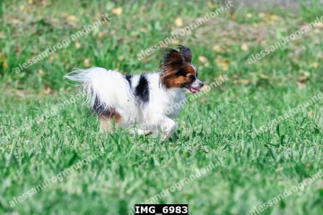 IMG_6983.jpg