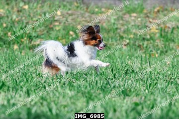 IMG_6985.jpg