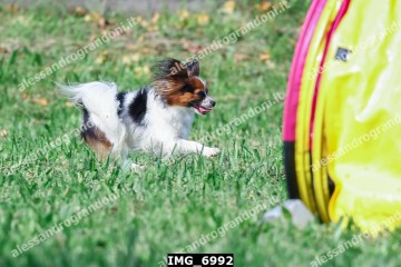IMG_6992.jpg