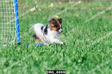 IMG_6999.jpg