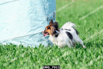 IMG_7011.jpg