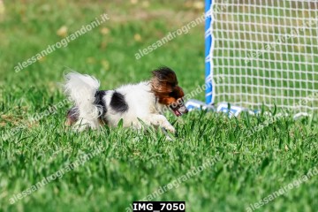 IMG_7050.jpg