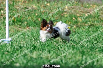 IMG_7068.jpg