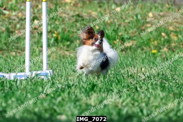 IMG_7072.jpg