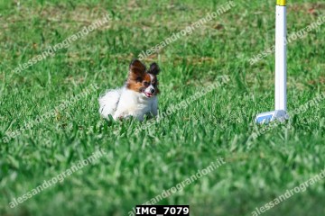 IMG_7079.jpg