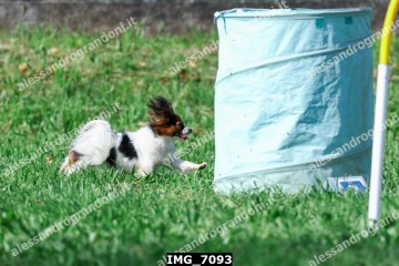 IMG_7093.jpg