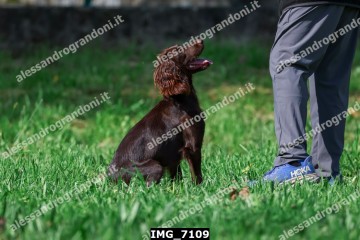 IMG_7109.jpg