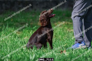 IMG_7111.jpg