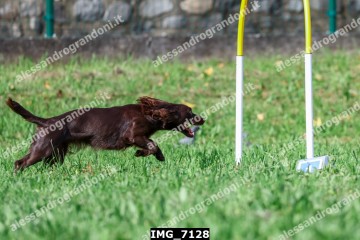 IMG_7128.jpg