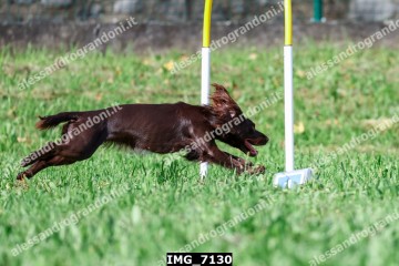 IMG_7130.jpg