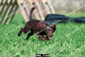 IMG_7169.jpg