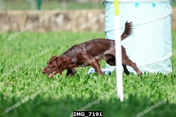 IMG_7191.jpg