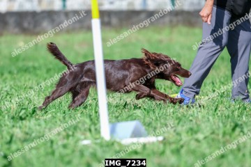 IMG_7234.jpg