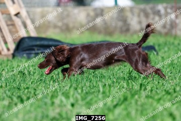 IMG_7256.jpg