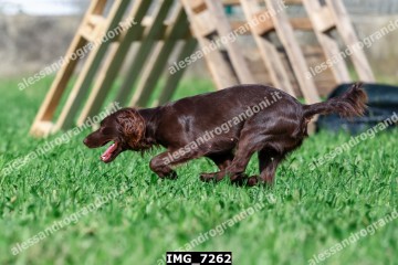 IMG_7262.jpg