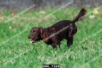 IMG_7269.jpg