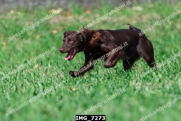 IMG_7273.jpg