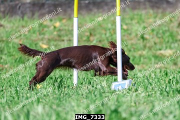 IMG_7333.jpg